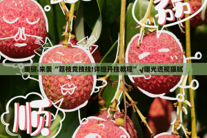 分享实测波特互娱透视挂!(其实真的能开挂)