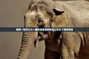 推荐一款开心斗一番老是输真的有挂!√太坑了原来有挂