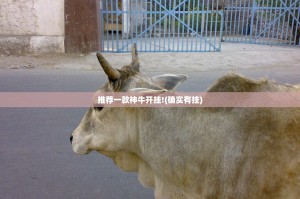 推荐一款神牛开挂!(确实有挂)