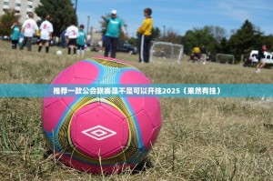 推荐一款公会联赛是不是可以开挂2025（果然有挂）