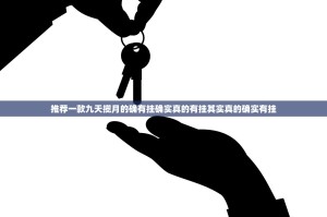 推荐一款九天揽月的确有挂确实真的有挂其实真的确实有挂