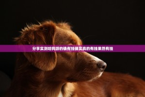 分享实测哈狗游的确有挂确实真的有挂果然有挂