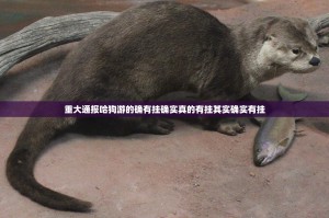 重大通报哈狗游的确有挂确实真的有挂其实确实有挂