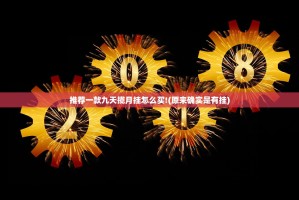 推荐一款九天揽月挂怎么买!(原来确实是有挂)