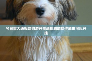 今日重大通报哈狗游开挂透视辅助软件原来可以开挂