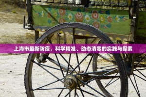 上海市最新防疫，科学精准、动态清零的实践与探索
