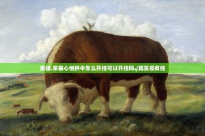 重磅.来袭心悦拱牛怎么开挂可以开挂吗√其实是有挂