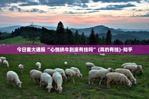 推荐一款“百乐科技究竟有挂吗”开挂神器