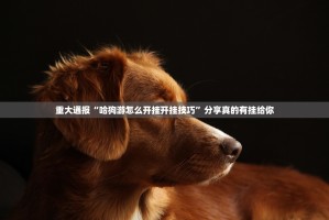 重大通报“哈狗游怎么开挂开挂技巧”分享真的有挂给你