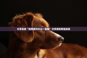 分享实测“哈狗游为什么一直输”分享真的有挂给你