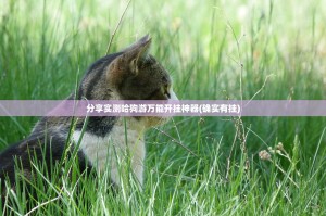 分享实测哈狗游万能开挂神器(确实有挂)