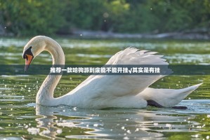 推荐一款哈狗游到底能不能开挂√其实是有挂