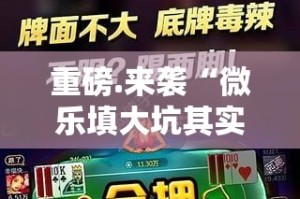 重磅.来袭“微乐填大坑其实是有挂的”2025（果然有挂）