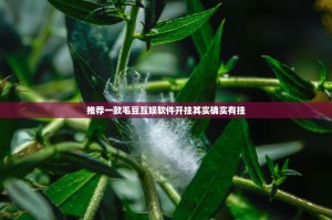 推荐一款毛豆互娱软件开挂其实确实有挂