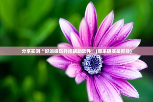 重磅.来袭决胜弈福有没有挂真的确实有挂