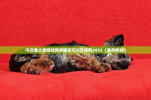 今日重大通报哈狗游确实可以开挂吗2025（果然有挂）