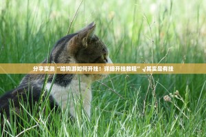 重磅.来袭传奇德州如何开挂！详细开挂教程(确实有挂)