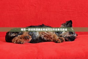 推荐一款哈狗游确实有挂可以开挂果然有挂