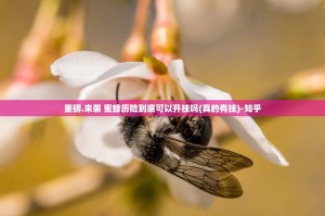 重磅.来袭 蜜蜂历险到底可以开挂吗(真的有挂)-知乎
