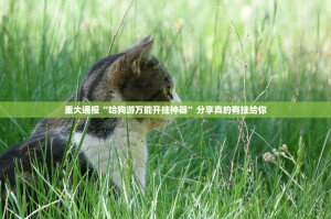 今日重大通报越乡游十三张开挂神器下载!其实有挂-知乎