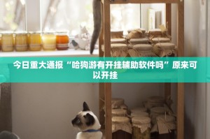 今日重大通报“哈狗游有开挂辅助软件吗”原来可以开挂