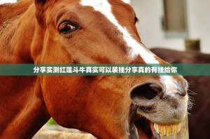 今日重大通报朋友圈其实是可以开挂!确实能开挂@太坑了真的有挂