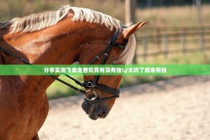 分享实测飞禽走兽究竟有没有挂!√太坑了原来有挂