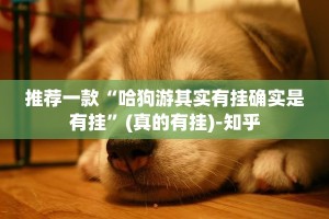 重大通报领悟棋牌怎么开挂！详细开挂教程真的确实有挂