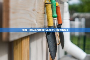 推荐一款安喜挂辅助工具2025（果然有挂）