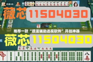 推荐一款“掼蛋辅助透视软件”开挂神器