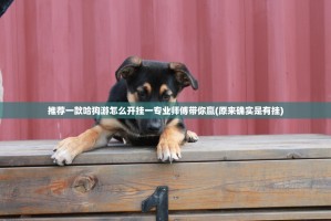 推荐一款哈狗游怎么开挂一专业师傅带你赢(原来确实是有挂)