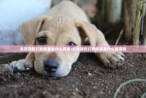 今日重大通报新卡农真的有挂的确有挂(确实有挂)