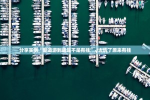 分享实测“新道游到底是不是有挂”√太坑了原来有挂
