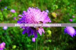 疫情之下，浙江省花了多少钱？深度解析抗疫经济账