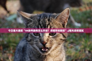 今日重大通报“66徐州麻将怎么开挂！详细开挂教程”√曝光透视猫腻
