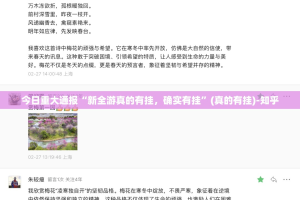 分享实测双盈休闲到底有没有透视挂其实有挂-知乎