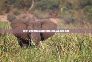 重磅.来袭哈狗游辅助透视软件√其实是有挂