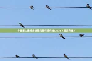 今日重大通报北极星究竟有没有挂!2025（果然有挂）