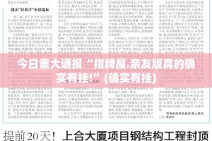 重大通报胜弈填大坑辅助软件原来真可以开挂