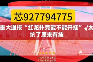 重磅.来袭悠悠系列可不可以开挂其实有挂其实真的确实有挂