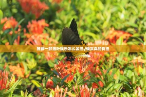 推荐一款湘叶娱乐怎么装挂√确实真的有挂