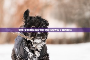 今日重大通报超盟开挂透视教程√确实真的有挂