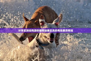 推荐一款66徐州麻将透视软件原来可以开挂