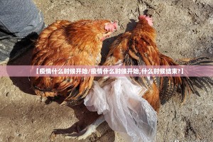 分享实测TX双城棋牌原来确实真的有挂√确实真的有挂