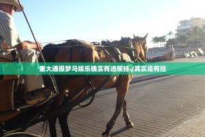 重磅.来袭八喜休闲辅助挂 原来真可以开挂