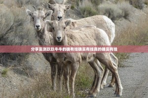 分享实测玖玖牛牛的确有挂确实有挂真的确实有挂