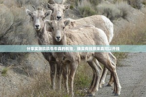 推荐一款悠乐竞技到底怎么开挂√必胜开挂神器