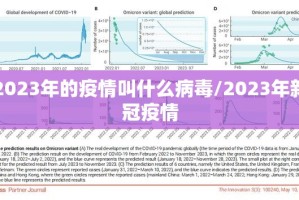 2023年的疫情叫什么病毒/2023年新冠疫情