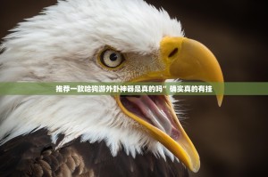 推荐一款欢聚水鱼开挂神器下载其实确实有挂