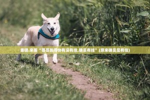 重磅.来袭“哥哥跑得快有没有挂,确实有挂”(原来确实是有挂)